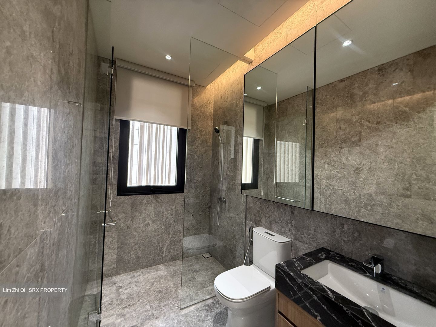 Dalvey Haus (D10), Condominium #553258421